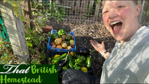 My Allotment October Harvest