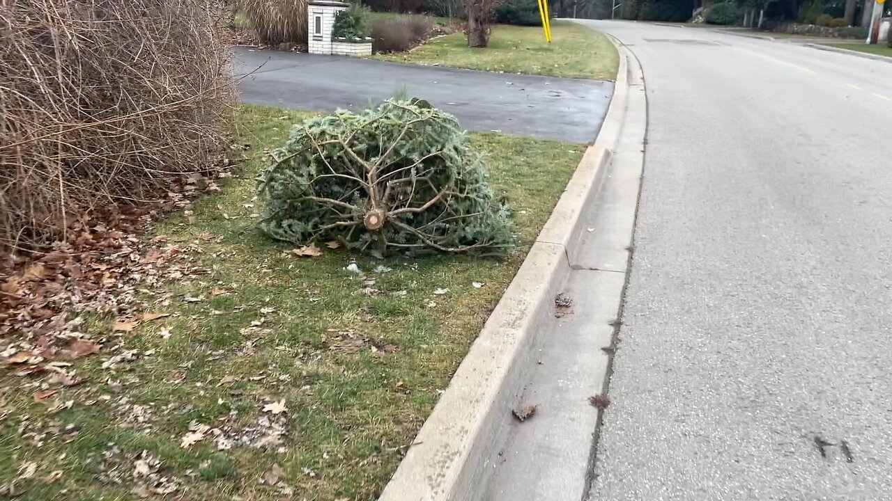 10k Walking. Curb Walking. Scarborough Bluffs, Toronto Canada Jan 3 2024