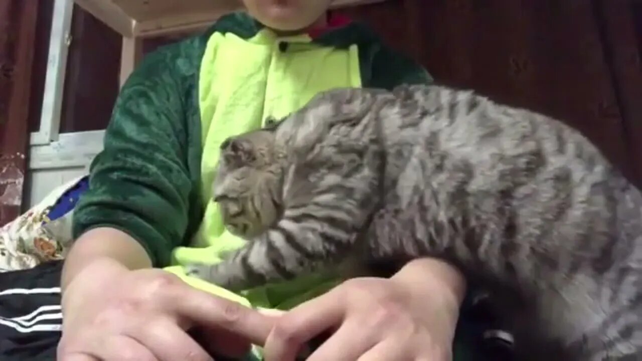 I'm just gonna sneak on to your lap
