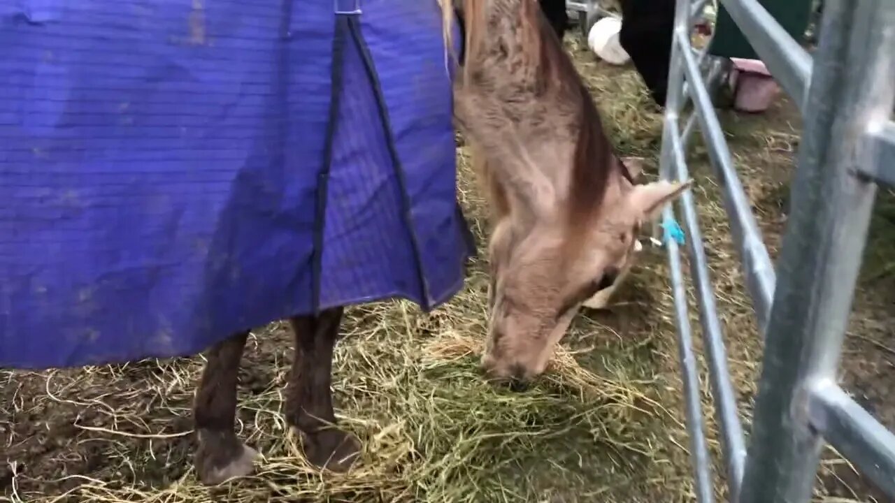 Arthur’s last days 💔