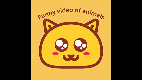 Very cute kitten