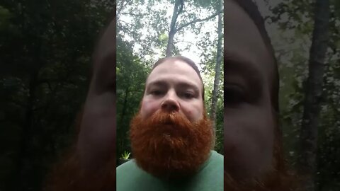 Yo Mama ...