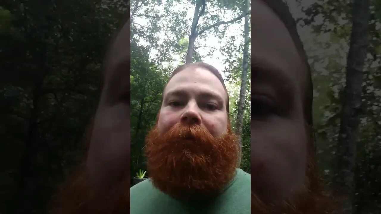 Yo Mama ...
