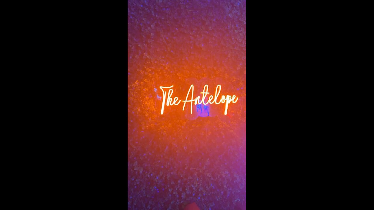 #TheAntelope