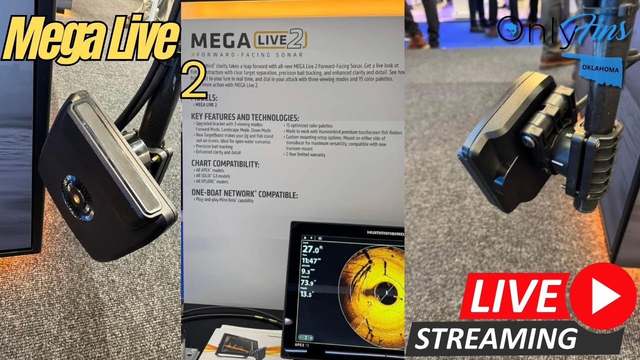 New Hummingbird Mega Live 2 First Look!!