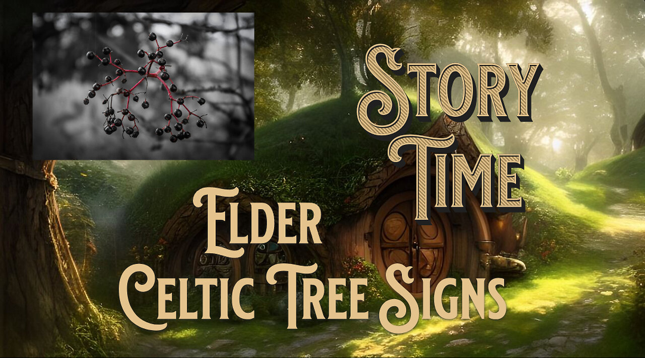 Celtic tree signs, Elder the 13th sign