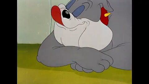 Tom and Jerry: Dog and Chicken Episode