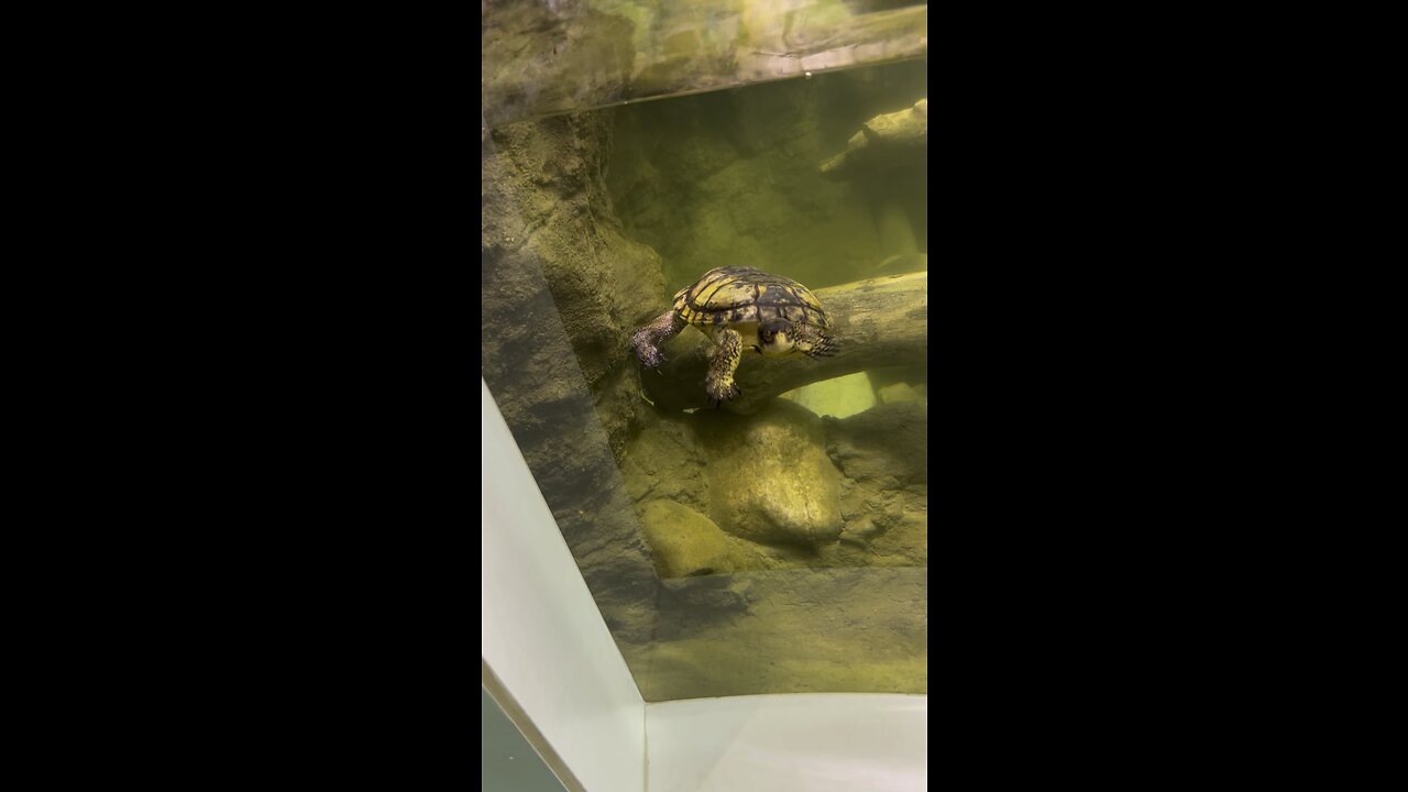 Seattle zoo
