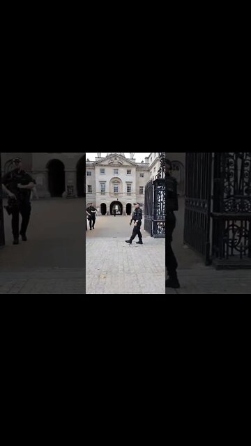 Police joking with the tourist's #horseguardsparade