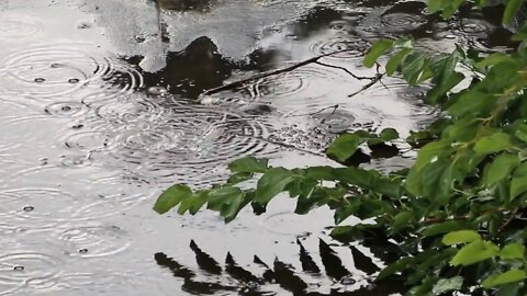 7 hours of Meditation Relaxing soothing calm rain for sleep and background music