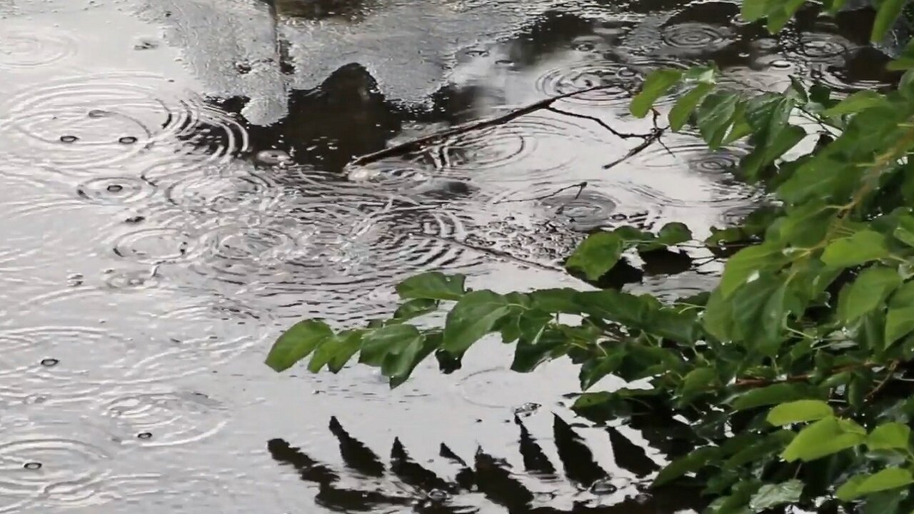 7 hours of Meditation Relaxing soothing calm rain for sleep and background music