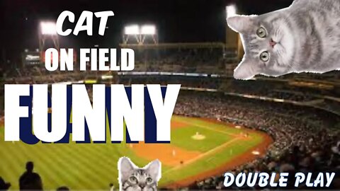 Cat Gets On Field (FUNNY) | Funny Moments