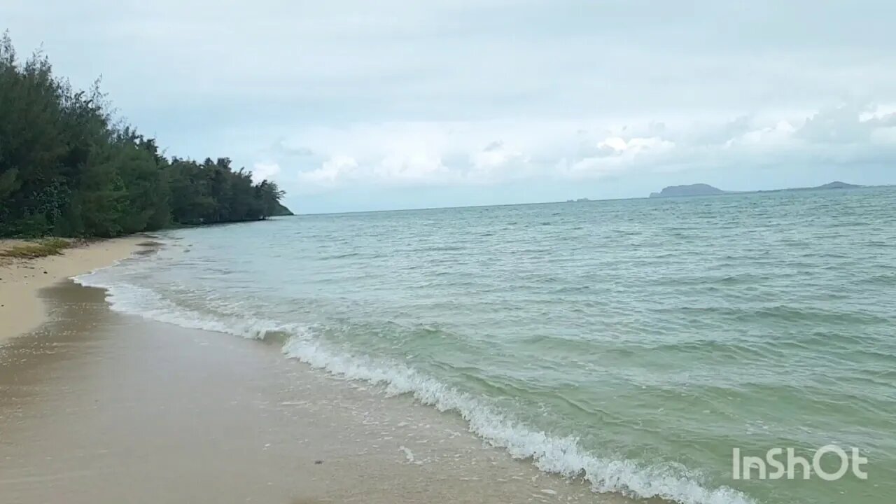 Chinaman's Hat - Freedom