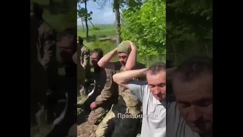 🇷🇺🇺🇦❗Footage Of Captured Ukrainian Troops Near Krasny Liman!