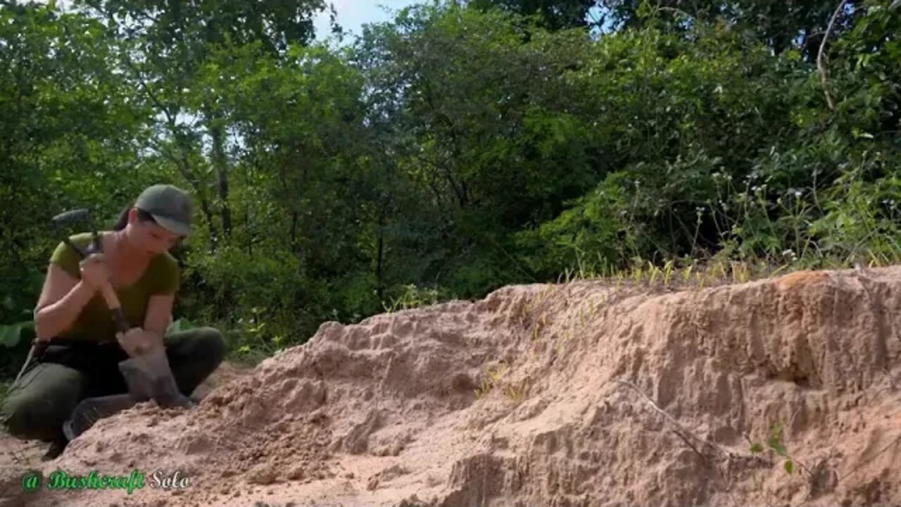 Into the most primitive jungle life 5