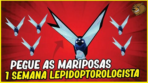 DESTINY 2 │ PEGUE AS MARIPOSAS 1 SEMANA (LEPIDOPTEROLOGISTA)