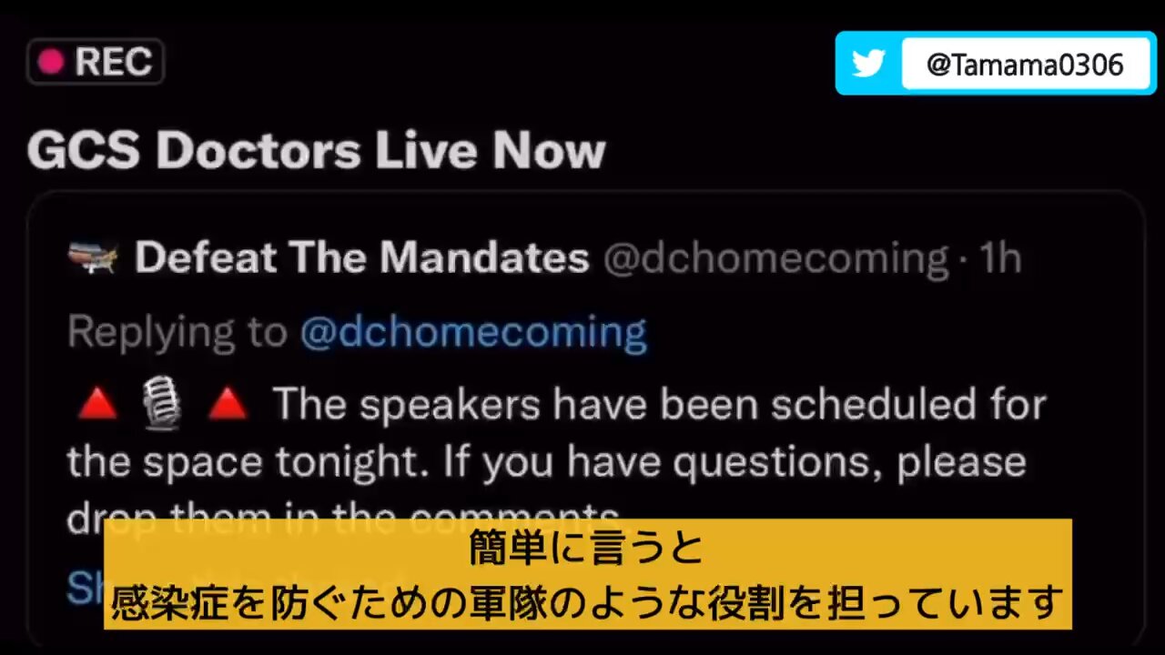 【コロワク】接種を繰り返すと免疫が崩壊する、それが病気の増加に繋がる
