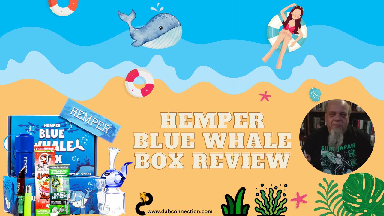 Hemper Blue Whale Box Review