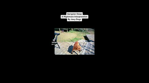 Gangster Deep Video
