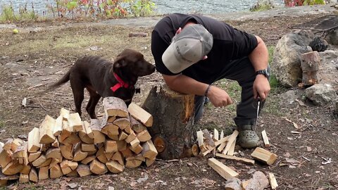 2 nights solo camping on an Island With My 3 month old puppy