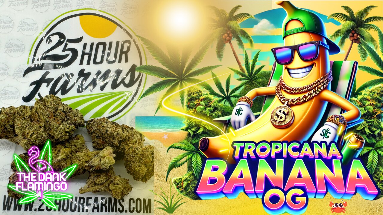 Trying Tropicana Banana OG THCa from 25 Hour Farms! The Dank Flamingo Cannabis Review!!