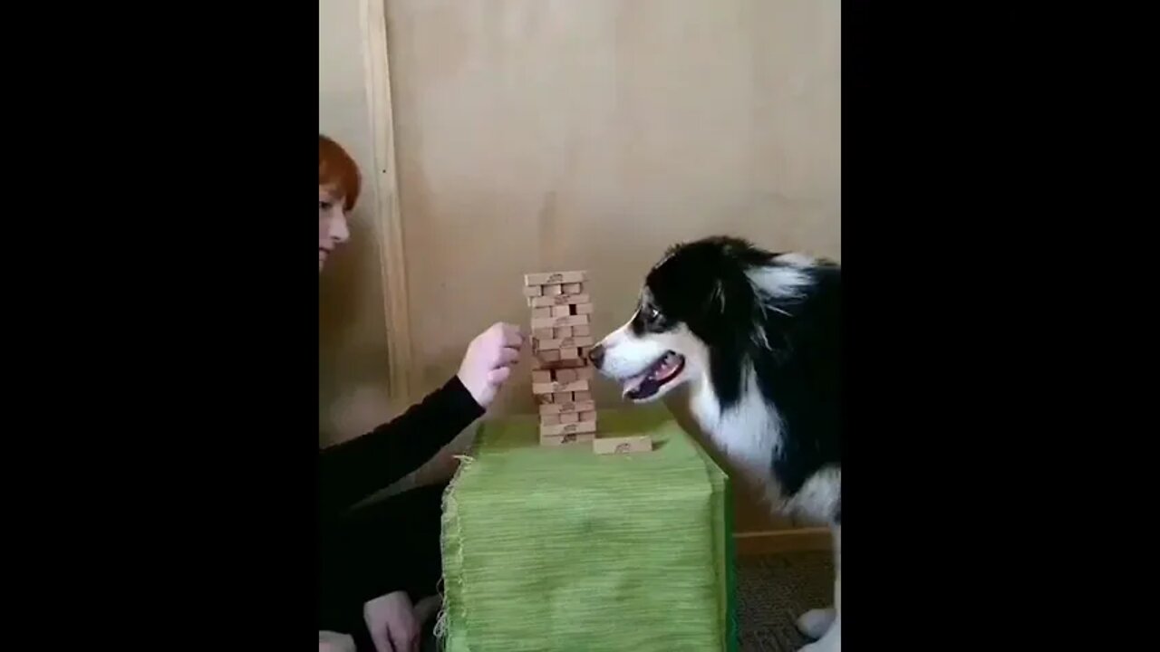 Jenga champ