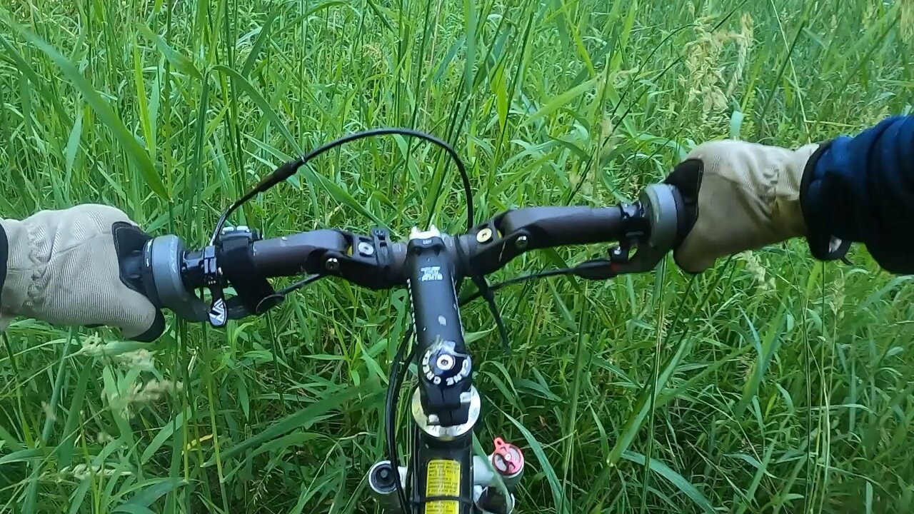 MTB Indian Trails Park Cedarquest Trailhead