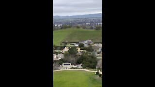 A Vineyard Backyard