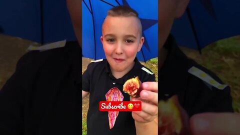 ThIs is the MOST DELICIOUS FRUIT from our Micro ORCHARD! 😋❤️ #shorts #garden