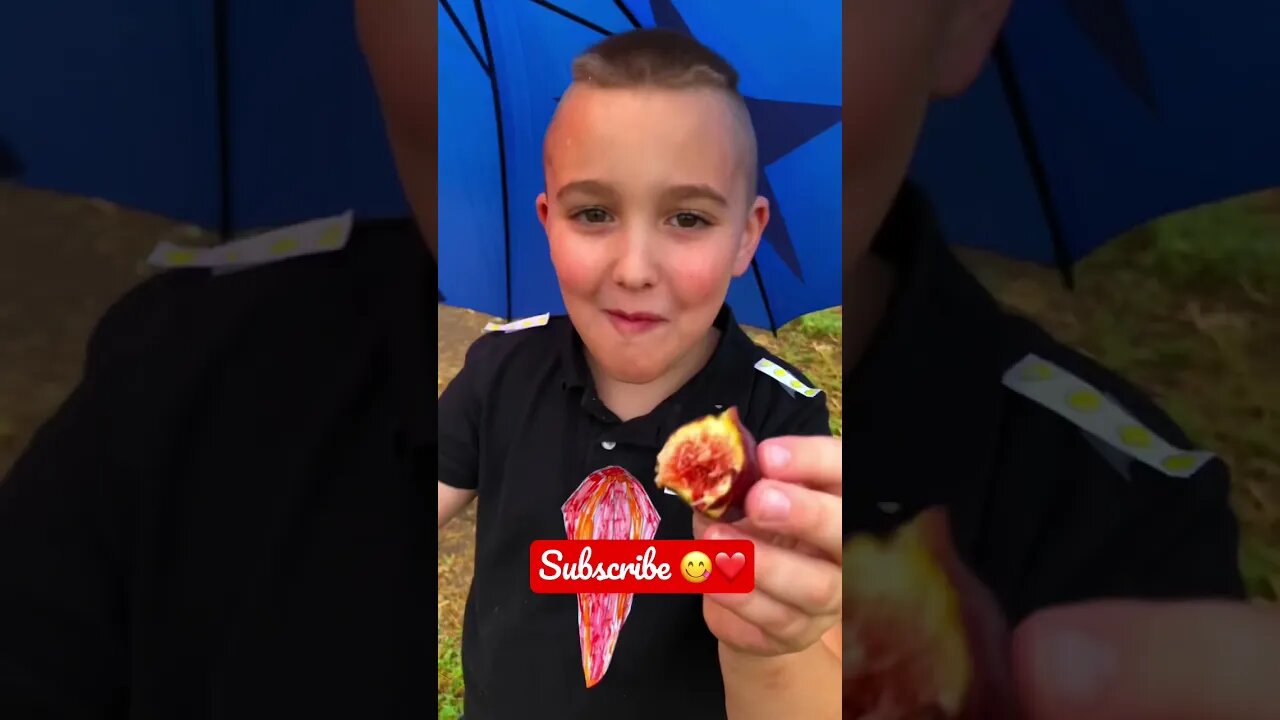 ThIs is the MOST DELICIOUS FRUIT from our Micro ORCHARD! 😋❤️ #shorts #garden