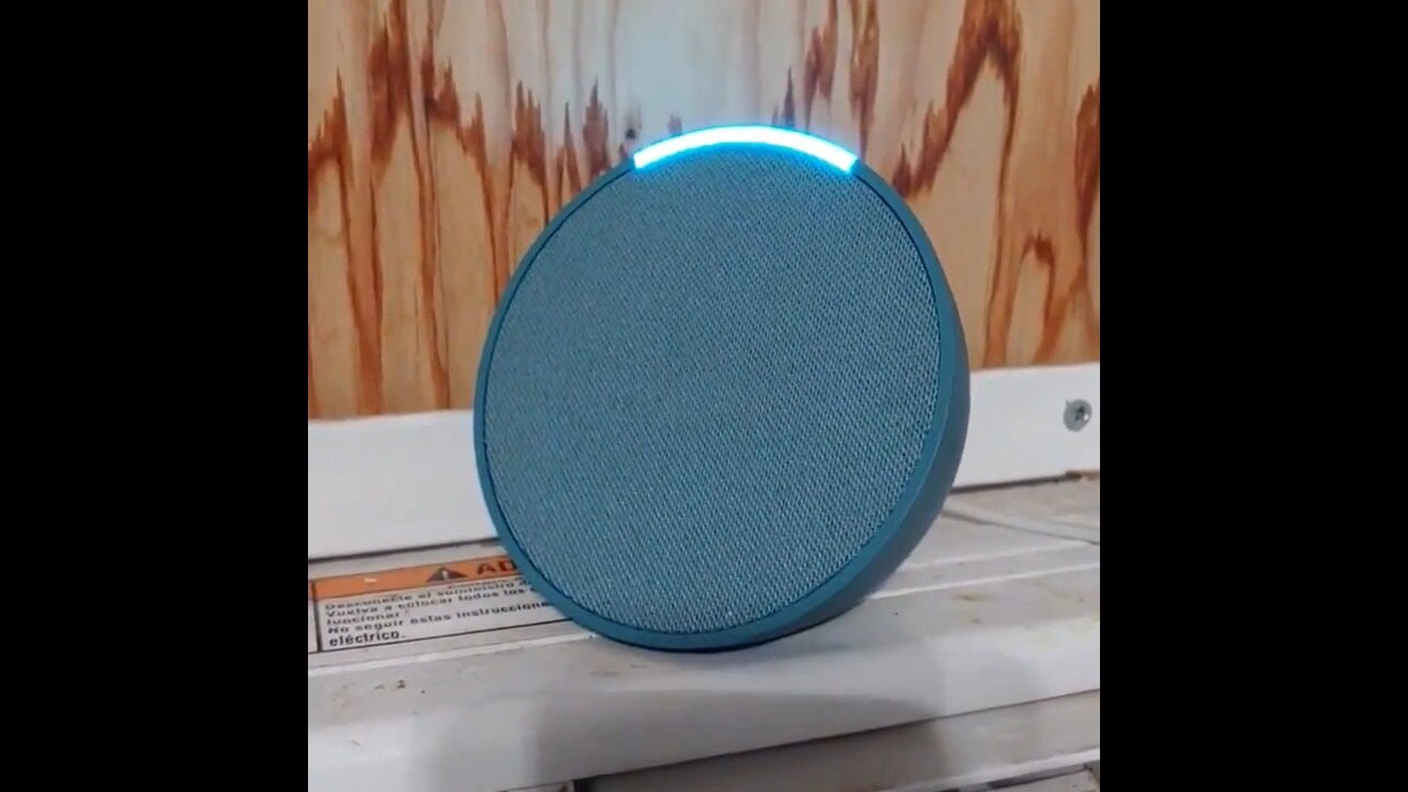 Amazon's Alexa Claims Trump Was Never Shot