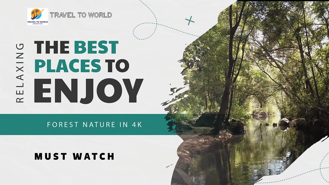 Exploring the Natural Wonders of Forest Ecosystems