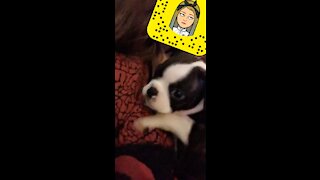 He was so small!