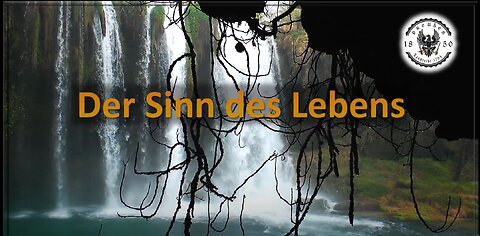 Der Sinn des Lebens