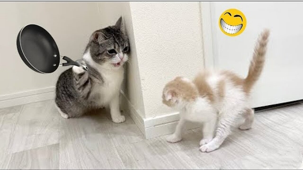 Funny Animal Videos 2023-Funniest Dogs and Cats Videos #6