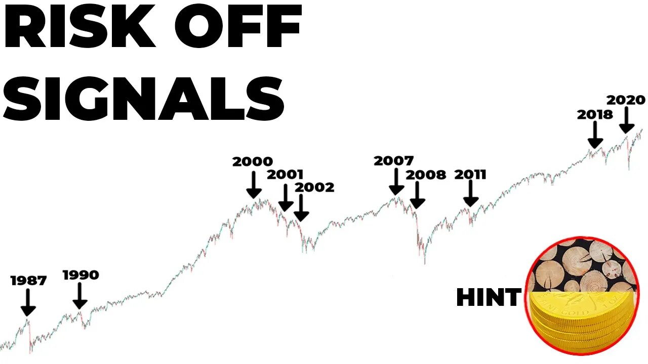 This Stock Market Indicator Signaled Some BIG Crashes | Feat. Michael Gayed