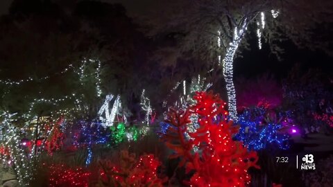 Ethel M Chocolates' Cactus Garden lights up for Valentine's Day