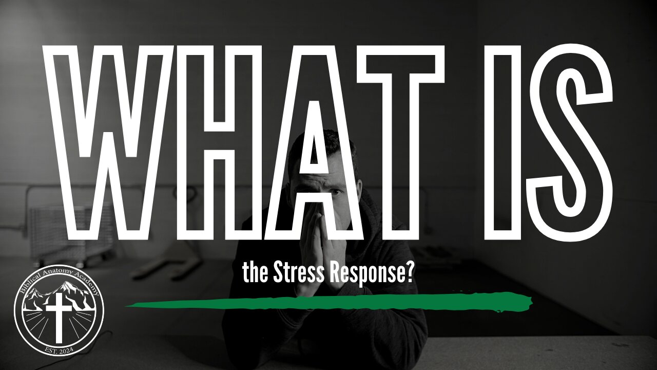 What is the Stress Response?