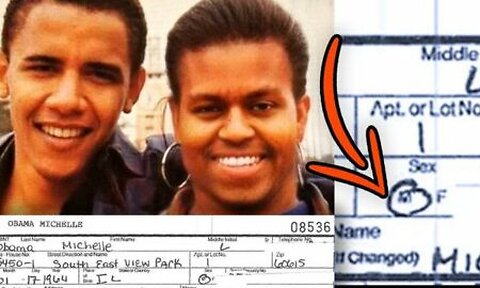 Official Govt Docs Expose Michelle Obama’s 14 Year History as a Man - and MORE