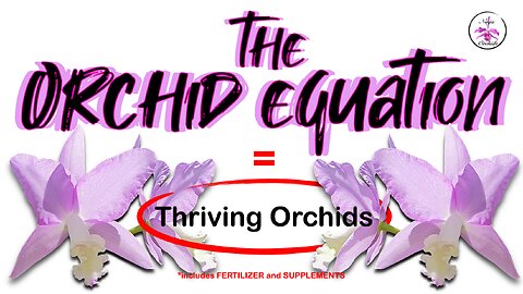 Orchid Care Made Easy | 8 Common Orchid Growing Conditions Examples | What YOU CAN Do #ninjaorchids