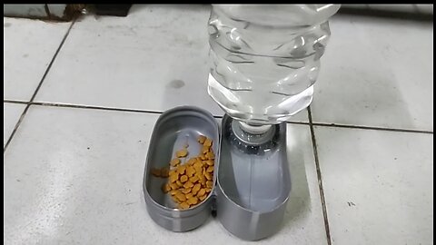 DIY water dispenser for cat