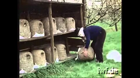 "Skep Beekeeping in the Heathland" (1978)