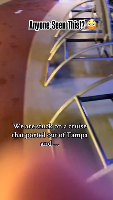 Birds are dying on hatch that off the cost of Tampa