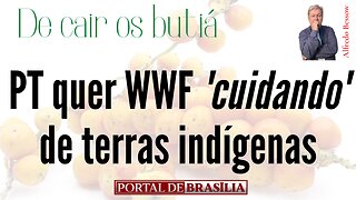 WWF vai administrar terras indígenas no Brasil!