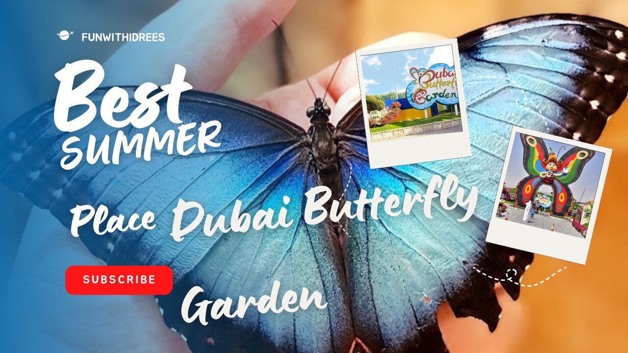 Best SUMMER Place OF Dubai for visit Butterfly Gardan for kids and Adult tourist UAE