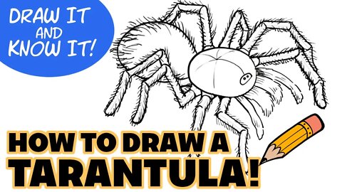 Draw It and Know It (Art Lesson Edition ) | How to Draw a Tarantula | Reasons for Hope