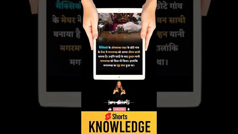 Motivational Quotes Intresting Facts & research #shorts #ytshorts #knowledge #motivation #yogi