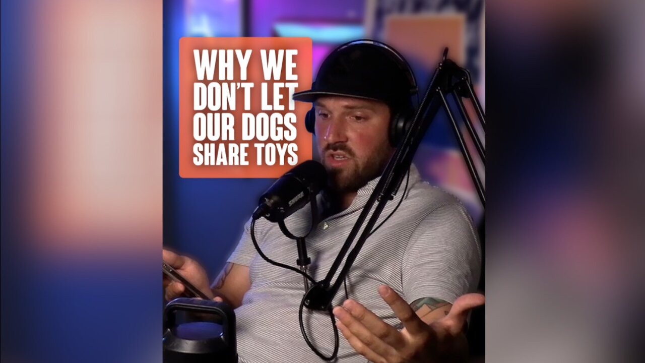 Why we don’t let our dogs share toys