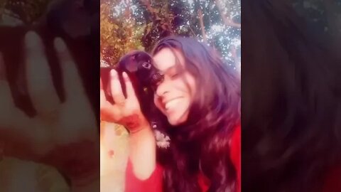 #funny videos #tik tok trends#uncensored video #comedy video #mid refresh video #titok video