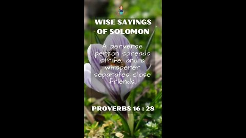 Proverbs 16:28 | NRSV Bible | Wise Sayings of Solomon